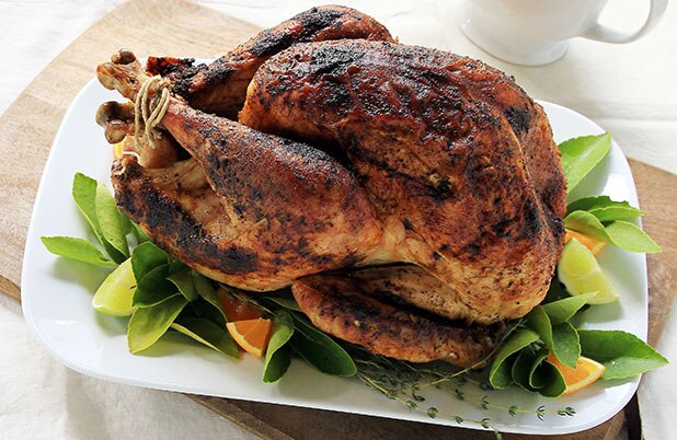 A whole rubbed turkey on a bed of oranges and sage.